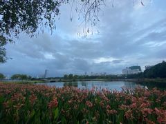 -南宁南湖公园