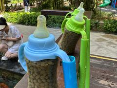 -三亚湾海居雅高铂尔曼度假酒店