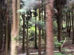 -山王坪喀斯特国家生态公园