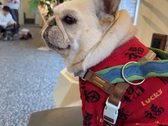 -小意思咖啡店(草桥店)