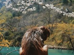 -山西通天峡景区