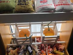 -森林象亲子餐厅·儿童生日会