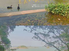 -香山湖公园