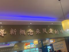 -新概念来凤鱼(璧山店)