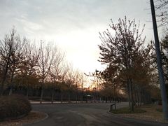 -新清华学堂