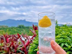 -七仙岭温泉国家森林公园