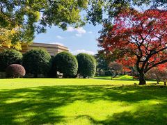 -上海兴国宾馆香樟园西餐厅