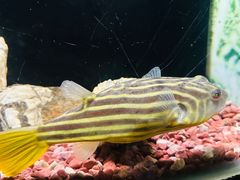 -上海海洋水族馆