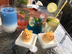 西柚苏打-柴犬高等学院·狗咖·柴犬售卖·宠物训练