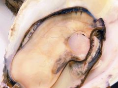 -牛品福潮汕牛肉火锅(旺庄店)