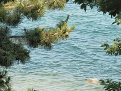 -海源公园