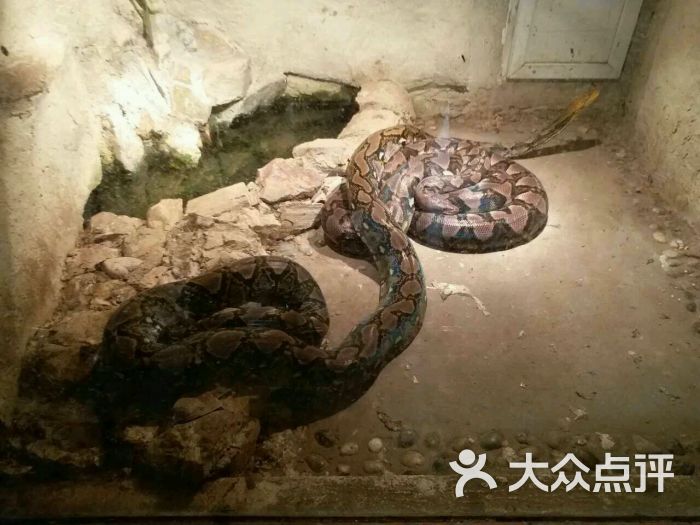 福州動物園圖片 - 第259張