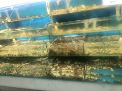 -仙螺岛海鲜自助餐厅(总店)