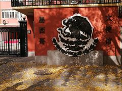 -三里屯东五街银杏大道