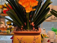 -双季花艺园艺市场(浦东店)