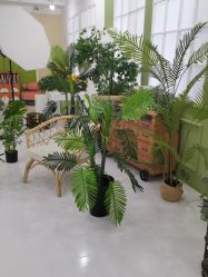 -小阿福儿童摄影(华中智谷店)