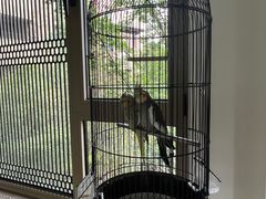 -浙江安吉JW万豪酒店·万豪中餐厅