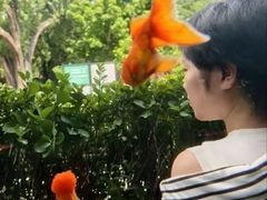 -北京市劳动人民文化宫(太庙)