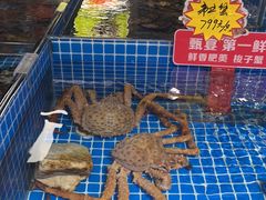 -渔港甄宴·海鲜·地标烟台菜(金沙滩店)