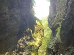 -牛背梁国家森林公园