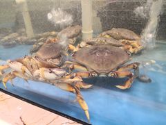 -田园肥牛鲍鱼先生(新北店)