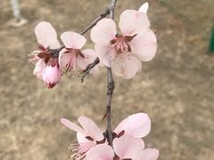 -太阳宫公园