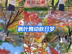 -西安市纺织公园