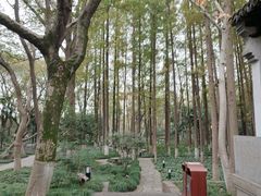 -上海方塔园
