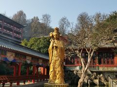 -黔灵山公园