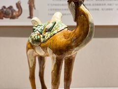 -深圳博物馆(古代艺术馆)