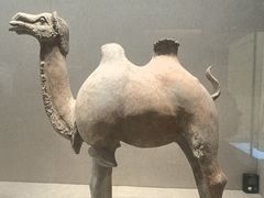 -敦煌市博物馆