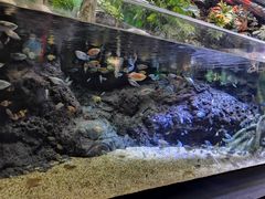 -上海海洋水族馆