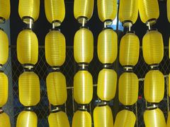 -山城柴火鸡·全鸡宴·跳水蛙(五小区店)