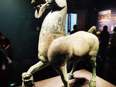 -广西壮族自治区博物馆