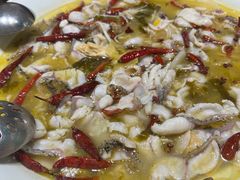 -青花椒花椒鱼(合生汇店)