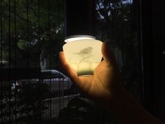 -瓷语堂(上海五维空间创意园店)