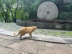 -四门塔风景区