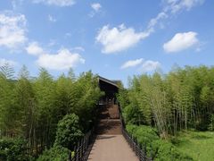 -大唐贡茶院
