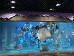 -梦幻海洋王国(吾悦广场张家港店)