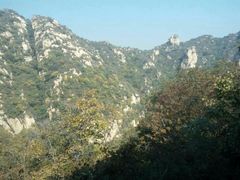 -大岭沟猕猴桃谷风景区