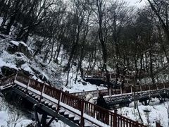-秦岭风景区