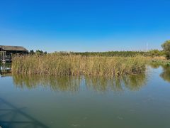 -溱湖国家湿地公园