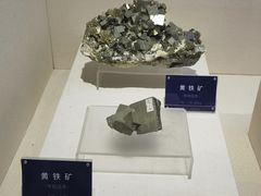 -安徽省地质博物馆