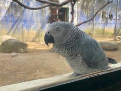 -杭州野生动物世界