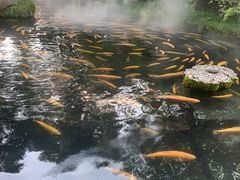-本溪水洞