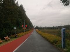 -上海长兴岛郊野公园