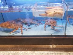 -阿伟海鲜楼·福建菜(延寿店)
