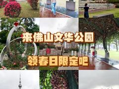 -文华公园(禅城区)