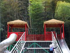 -龙湾潭国家森林公园