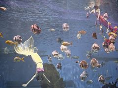 -石家庄极地海洋世界